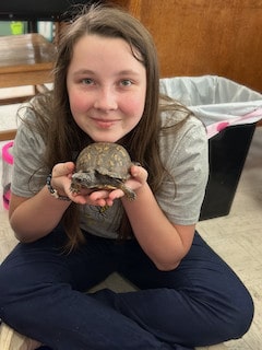 A Mayflower student carefully holding a small tortoise